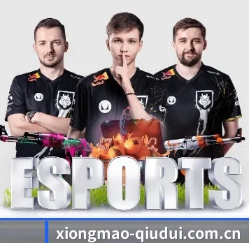 国际化进程(panda sports)