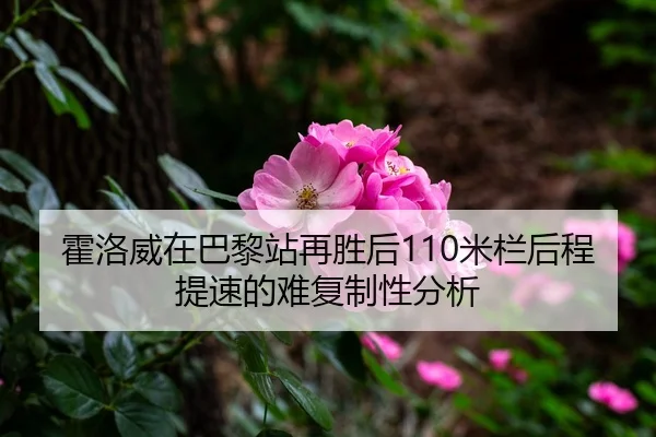 霍洛威在巴黎站再胜后110米栏后程提速的难复制性分析 | panda sports