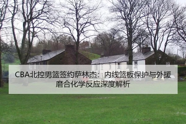 bei-kong-nan-lan-qian-yue-sa-lin-jie-nei-xian-lan-ban-bao-hu-yu-wai-yuan-mo-he-hua-xue-fan-ying-shen-du-jie-xi-2-798.jpg