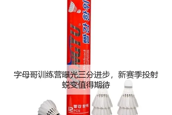 字母哥训练营曝光三分进步，新赛季投射蜕变值得期待