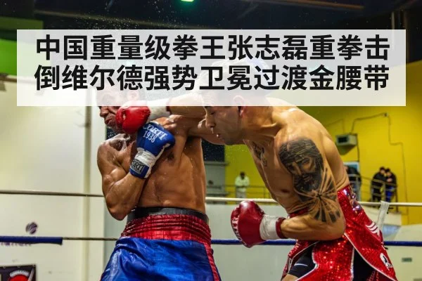 中国重量级拳王张志磊重拳击倒维尔德强势卫冕过渡金腰带