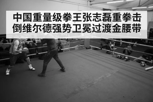 boxer training gym